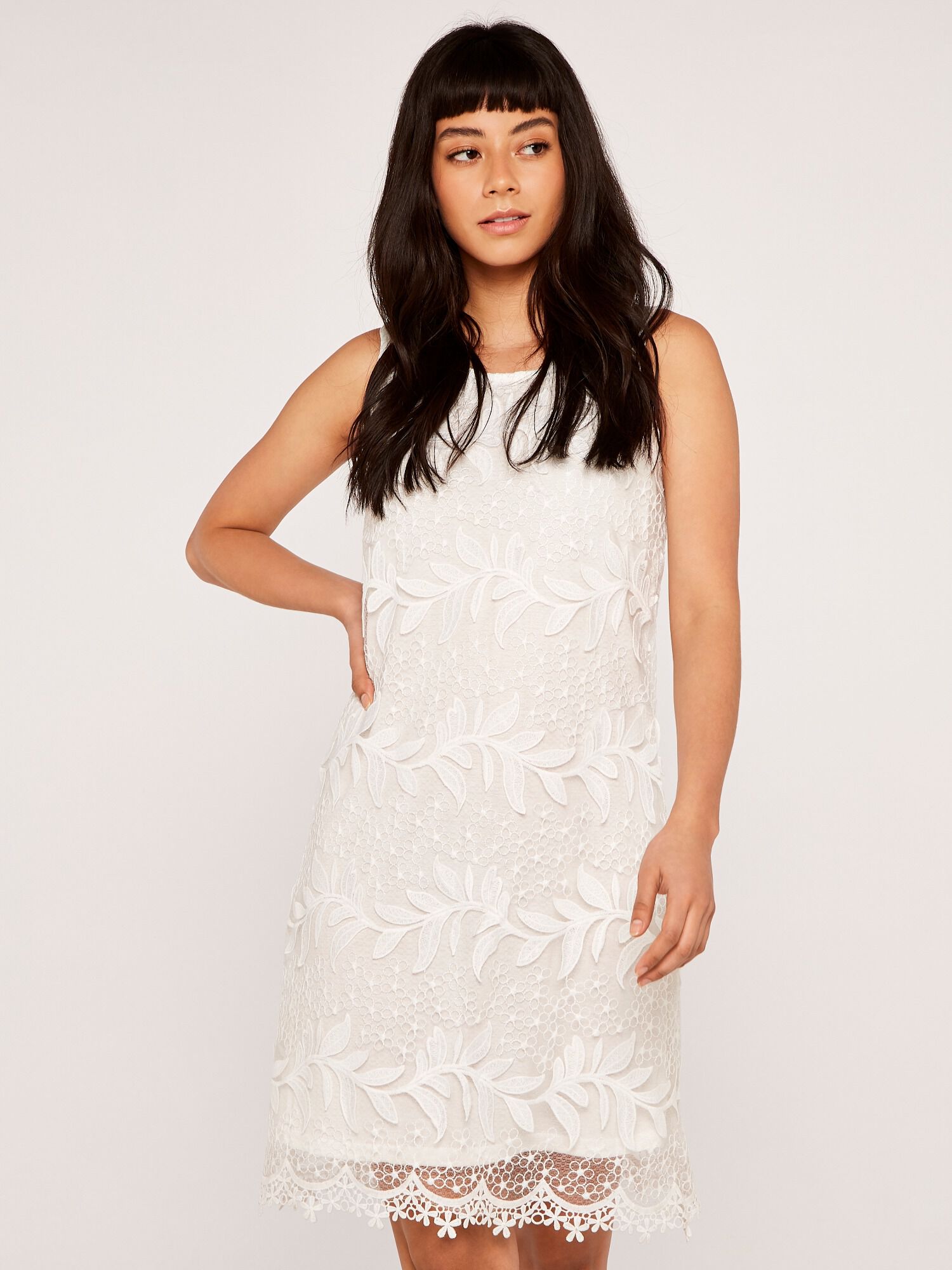 Applique Leaf Mesh Shift Dress Apricot Clothing