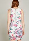 Spirograph And Rose Lace Shift Dress, Pink, large