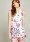 Spirograph And Rose Lace Shift Dress, Pink, large
