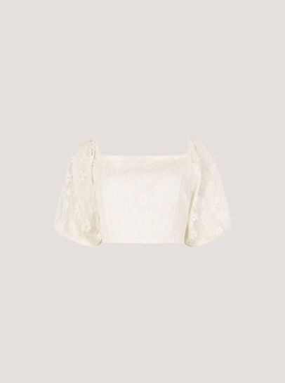 Daisy Mesh Cropped Top