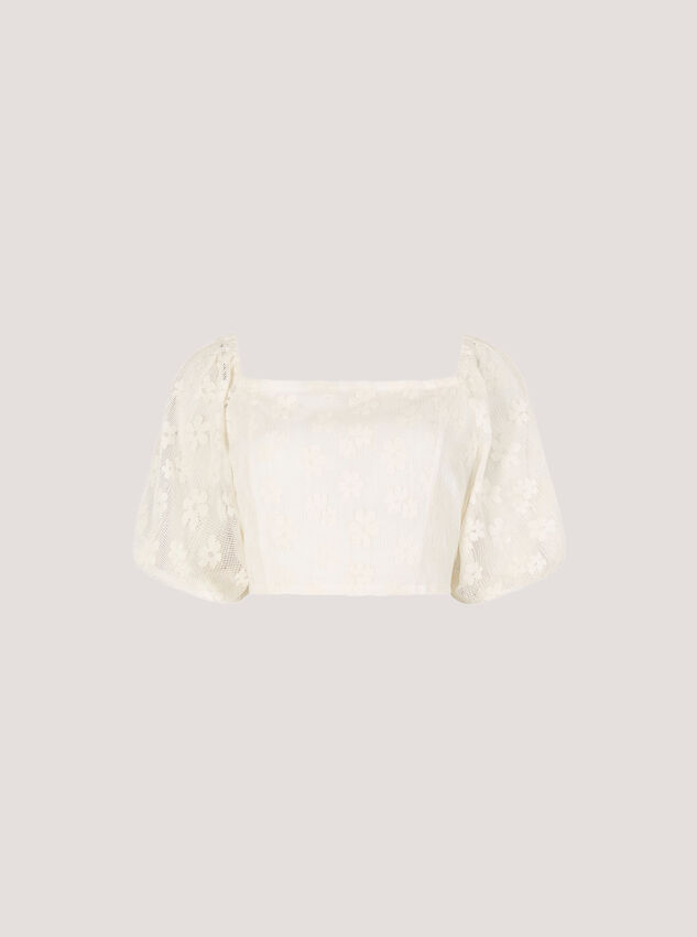 Daisy Mesh Cropped Top, Cream, large