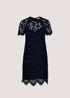 Lace Mini Dress, Navy, large