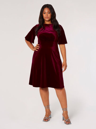 Curve Velvet Fit And Flare Mini Dress