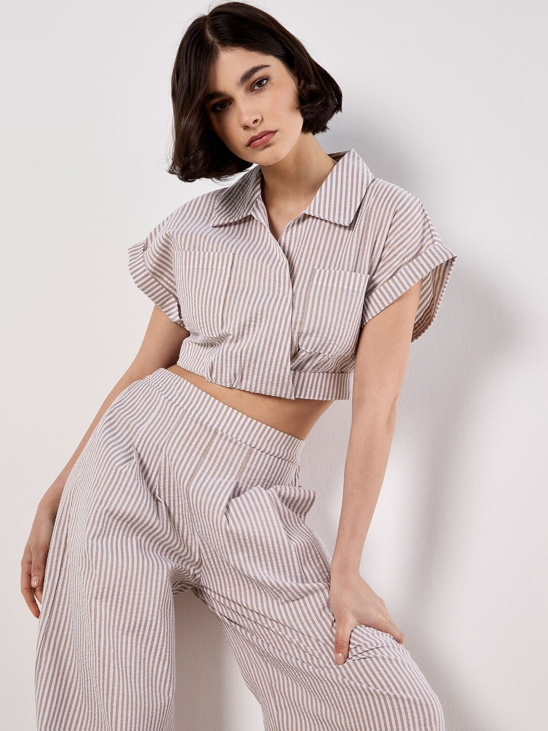 Stripe Shirt Crop Top