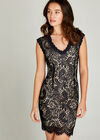 Navy Lace Scallop Bodycon Dress, Navy, large