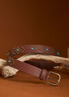 Bronze Studded Belt, Brown, large