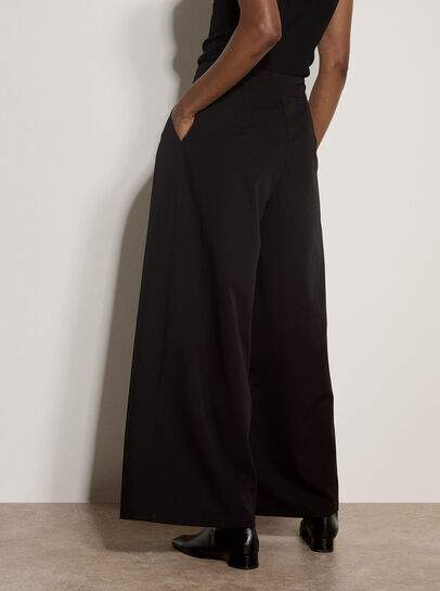 Wide-Leg Pleated Tailored Trousers